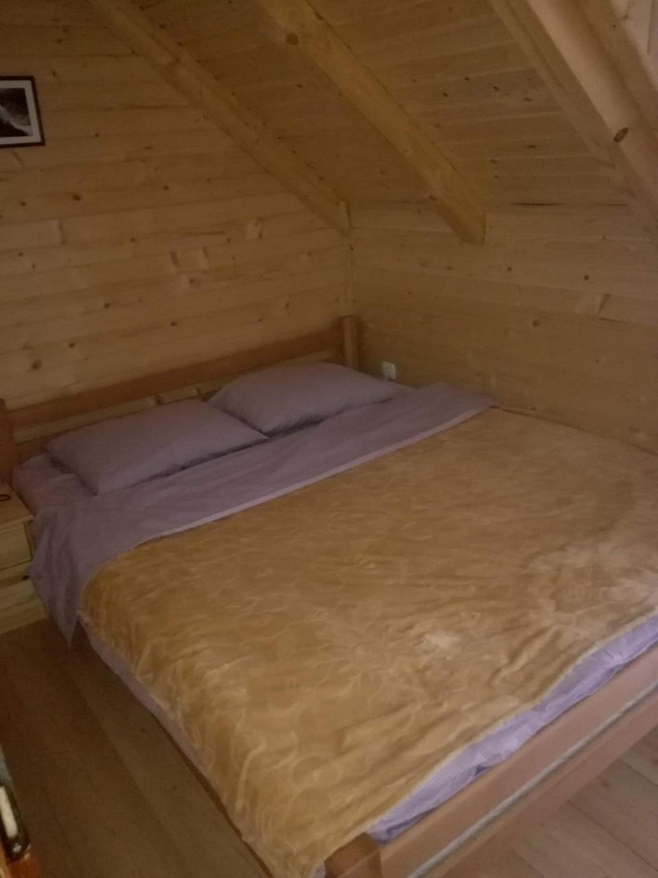 Brvnare Krstigora Βίλα Zaovine Εξωτερικό φωτογραφία